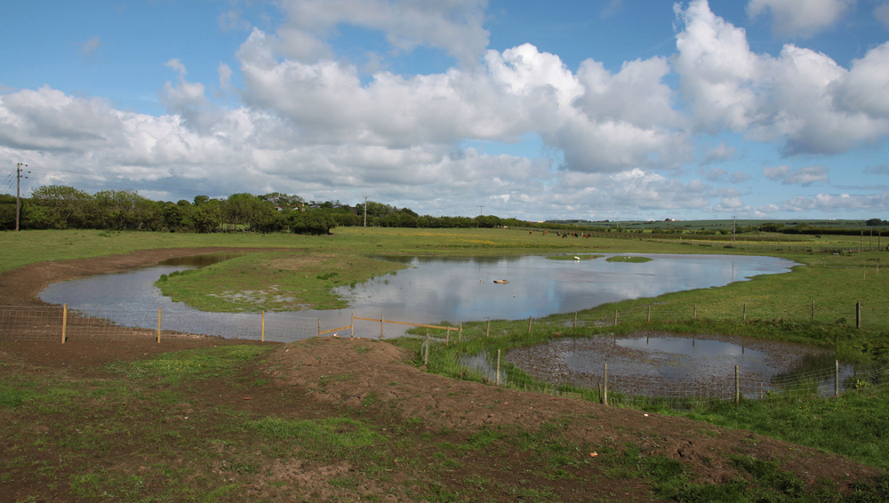 East Lea, spring 2013 (c Ian Robinson)